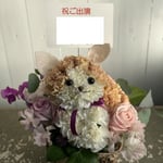 ねこ2色　7,000円～