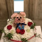 犬+ケーキ　20,000円～