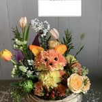 きつね　10,000円～