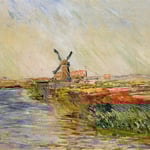 Champ de tulipes en hollande.