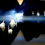 EL LAGO DE LOS CISNES DE PETER ILICH TCHAIKOVSKY 1840-1893