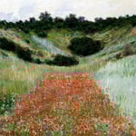 Poppy Field In A Hollow Near Giverny.