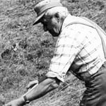 Vater bei der Heuarbeit