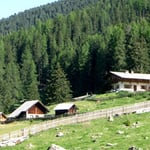 Die Alm im Radurschl