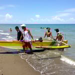 2017年活動の様子