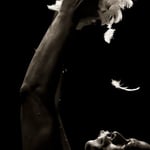 © Arnaud Bertereau / 2466 selon la Légende du Phénix Luc Moka