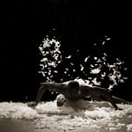 © Arnaud Bertereau / 2466 selon la Légende du Phénix 