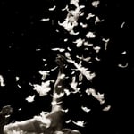 © Arnaud Bertereau / 2466 selon la Légende du Phénix 