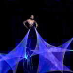 création 2016, "2466 selon la légende du Phénix" 