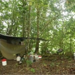 Bivouac en forêt