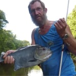 Capture de Piraï noir