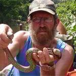 Capture d'un bébé anaconda