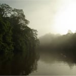 Lever du jour sur le Sinnamary