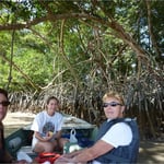 Balade sur les bords de la mangrove