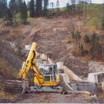 Forstliches Projekt 2002