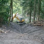 Forstliches Projekt Moos - Arbeiten mit dem Menzi Muck am Seil