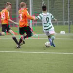 Robin rettet im letzten Moment