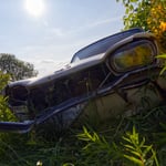 Cros de Géorand - Concours photo 2025 "Au ras du sol sur le plateau ardéchois" - Franck E.