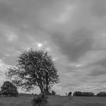 Cros de Géorand - Concours photo 2024 "en noir et blanc sur le plateau ardéchois" - Caroline M.