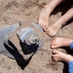 Cros de Géorand - Concours photo 2025 "Au ras du sol sur le plateau ardéchois" - Catherine U.