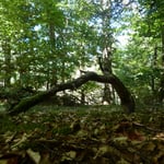 Cros de Géorand - Concours photo 2025 "Au ras du sol sur le plateau ardéchois" - Baptiste O.