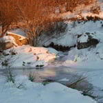 Cros de Géorand - Concours photo 2025 "Au ras du sol sur le plateau ardéchois" - Manu U.