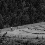Cros de Géorand - Concours photo 2024 "en noir et blanc sur le plateau ardéchois" - Franck E.