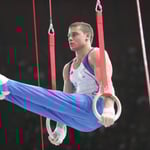 Gymnastique Artistique Masculine