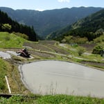 棚田百選の上勝町樫原の棚田では田植えの準備が始まっていました。　・猫の額ほどの棚田に代搔機(和良)