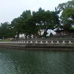 ひょうたん島クルーズでは藩政時代の松並木も見えました。　　　　　　　　　　・江戸の世の松並木も見船遊（和良）