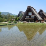 白川郷では田植えが終わって合掌造りが水田に映っていました。　　　　　　　　　　　　　　　　　　　　　　　　　　　・植田はや合掌造り映しをり（和良）