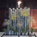 うだつの町では昔、藍商人だった屋敷に花が活けられていました。　・薫風の花を活けたる座敷まで(和良)