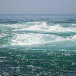 潮流は一瞬一瞬変り、渦が巻くと観潮船から歓声が上りました。　　　　　　　　　　　　　　　・渦巻けば歓声上る観潮船(和良)