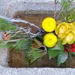 渭水苑の門を入ると手水鉢にもお正月の飾りがしてありました。　　　　・手水鉢にも正月の飾りして(和良)