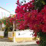 中世の城壁に囲まれたオピドスの街ではブーゲンビリアが咲いていました。  ・冬温しブーゲンビリア咲ける古都(和良）