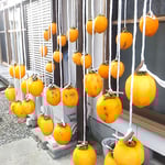 大きな大和柿を選んで皮を剝き塩を入れた湯に通して吊るしました。　　・吊るさんと大きな大和柿選ぶ(和良)