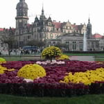 ドレスデンではツヴィンガー宮殿でラファエロの傑作と菊の花壇を見ました。 ・システィーナのマドンナも見て菊も見て （和良）