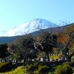 静岡県駿東郡小山町にある冨士霊園へ墓参に行ってきました。　　　　・すぐそこに雪の富士見る霊園に(和良)