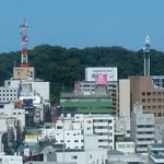 徳島市内にある銀行の本店10階から眺望した城山です。　　・城山は子らの遊び場赤蜻蛉（和良）