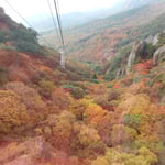 ロープウエイから見た寒霞渓の紅葉は野山を埋め尽くしていました。　・パノラマの野山の錦果てしなく（和良）