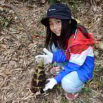 子供たちは竹林で筍を見つけると歓声を上げていました。　　・筍を見つけたる子の声弾む（和良）