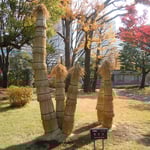 国会議事堂の庭には県の木が植えられ、蘇鉄には雪囲がされていました。　　　　　　　　　　　　　　　　　　　　・大袈裟に見ゆる蘇鉄の雪囲(和良)