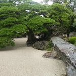 石組が見事な徳島城表御殿の庭園から虫の音が聞こえてきました。　・ちちろ鳴く表御殿の庭園に（和良）