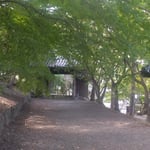 立冬の日の丈六寺は一の門二の門三の門も境内も静かでした。　　・立冬の古刹に人の気配無く(和良)