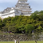 国宝である姫路城は初夏の日差しを浴びて白を極めていました。　　・初夏の日に城の白さの極まりぬ(和良)