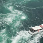 大鳴門橋から見た春の大潮です。観潮船には大勢の観光客が乗っていました。  ・そこあそこここと渦見の船の客(和良)