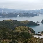 阿南市椿町の椿自然園から阿波の松島と呼ばれる橘湾が見えました。　　　　・断崖の絶壁にまで咲く椿（和良）