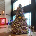 東京駅前の新丸ビルのクリスマスツリーです。　　　　　　　　　　　　　　　　　　　　　　　　　　　　　　　　　　　　　　　・丸の内ここのビルにも大聖樹（和良）
