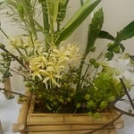 たくさんの作品が並ぶ生花展で黄色い曼珠沙華を見つけました。　・よく見れば黄色なれども曼珠沙華（和良）