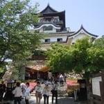 国宝・犬山城の階段は急でした。風格のあるお城でした。　　　　　　　　　　　　　　　　　　　　　　　　　　　　　　　　・天守閣杜鵑花明かりの上にあり（和良）